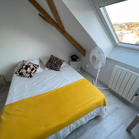Esprit Jaune - Cosy Studio Salengro - Sauna & Sport Club Mulhouse Esterno foto