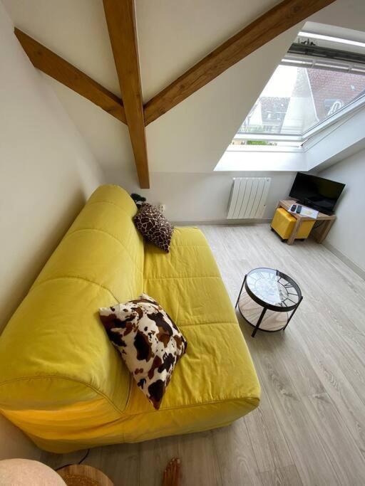 Esprit Jaune - Cosy Studio Salengro - Sauna & Sport Club Mulhouse Esterno foto